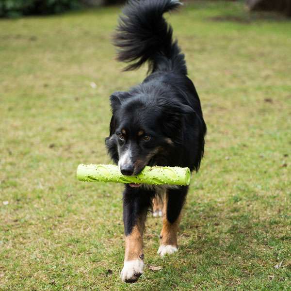 Futterdummy für Hunde – TPR grün – Bild 2