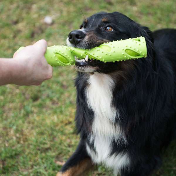 Futterdummy für Hunde – TPR grün – Bild 3
