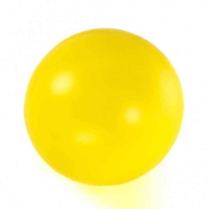 Treibball für Hunde – 