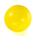 Treibball für Hunde | PROCYON