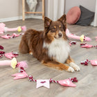 Hundeseil – Valentines Tau – Bild 2