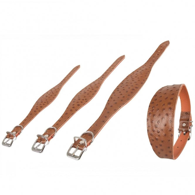 Windhund-Halsband – Ventus