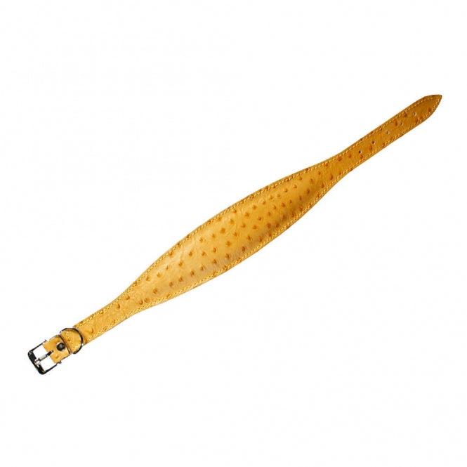 Windhund-Halsband – Ventus – Bild 2