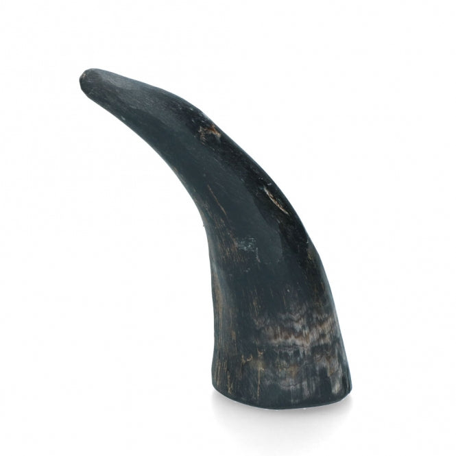 Horn für Hunde – Viking Whole S – Bild 2