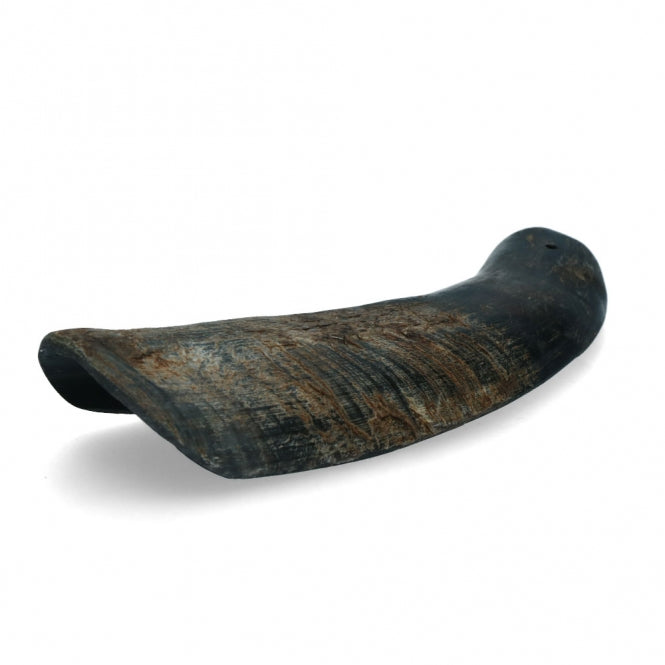 Horn für Hunde – Viking half – Bild 6