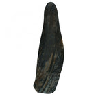 Horn für Hunde – Viking twist – Bild 2