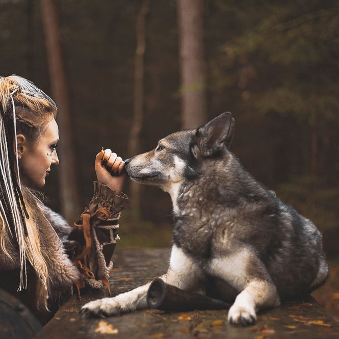 Horn für Hunde – Viking Whole S – Bild 5