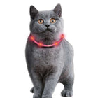 Katzenhalsband – Visio Light Cat LED-Schlauch mit USB, Pink – Bild 3