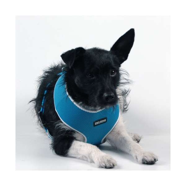 Softgeschirr für Hunde – / Netzgeschirr – Bild 7