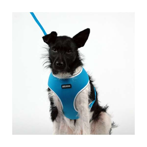 Softgeschirr für Hunde – / Netzgeschirr – Bild 6