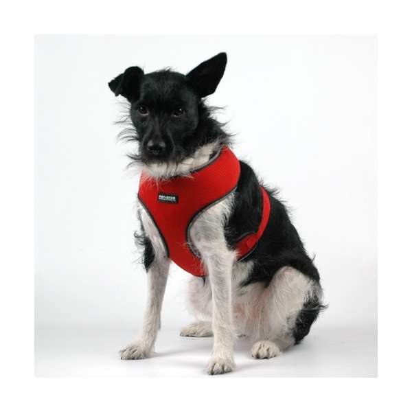Softgeschirr für Hunde – / Netzgeschirr