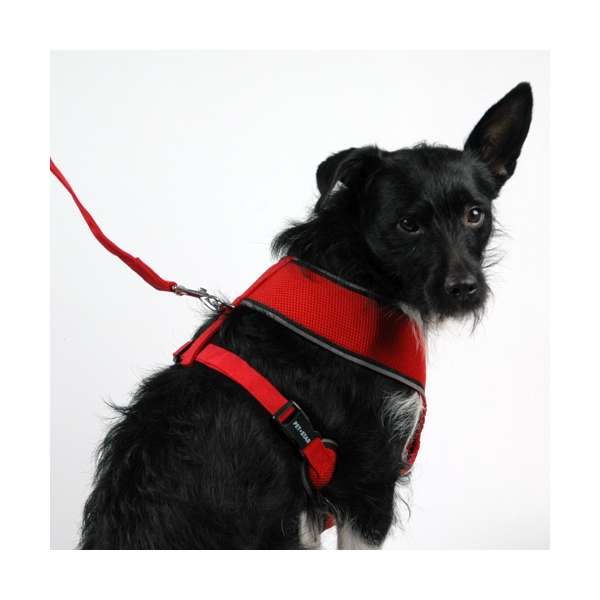 Softgeschirr für Hunde – / Netzgeschirr – Bild 4
