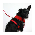 Softgeschirr für Hunde – / Netzgeschirr – Bild 4