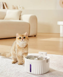 Wireless Smart Sensor Pet Water Fountain with Ceramic Plate