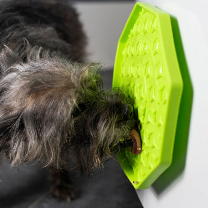 Intelligenzspielzeug für Katzen – Ladi Mat Schleckplatte Wobbler – Bild 2