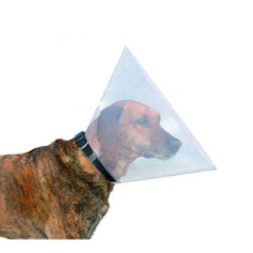 Schutzkragen für Hunde – aus Kunststoff – Bild 4