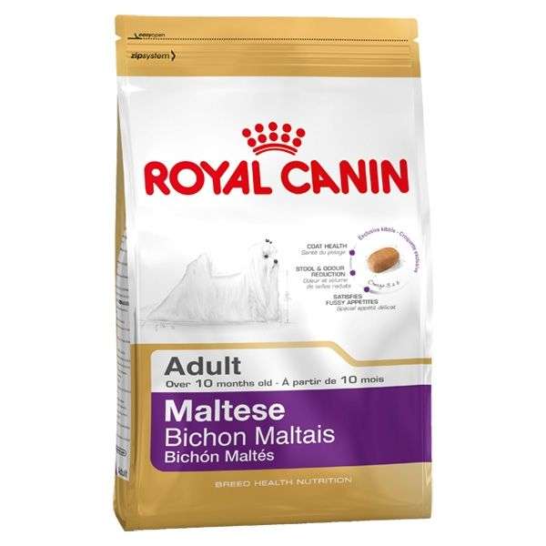 Hundetrockenfutter Maltese 24 Adult – Royal Canin Rasse
