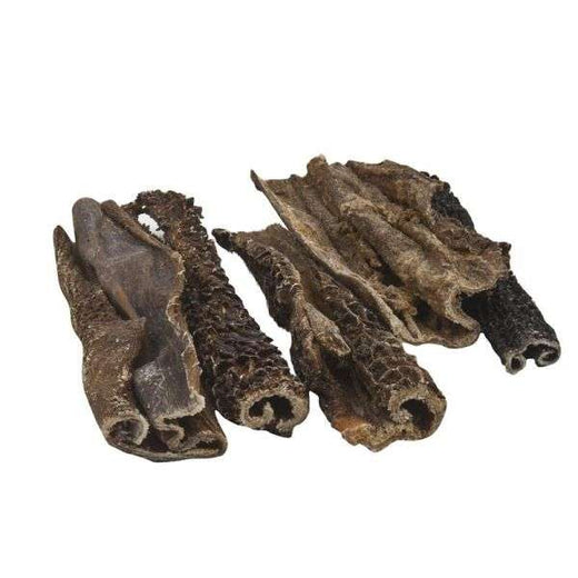 Hundeleckerli Rinderpansen im Eimer 800g – Classic Dog