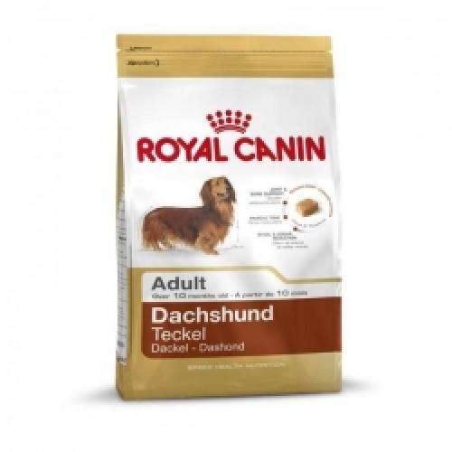 Hundetrockenfutter Dachshund Adult – Royal Canin Rasse