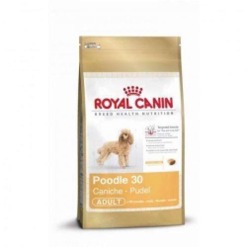 Hundetrockenfutter Pudel Adult – Royal Canin Rasse