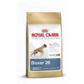 Hundetrockenfutter Boxer Adult, 12 kg | Royal Canin Rasse