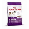 Hundetrockenfutter Giant Adult, 15 kg | Royal Canin Dog