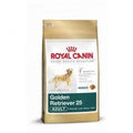 Hundetrockenfutter Golden Retriever Adult | Royal Canin Rasse