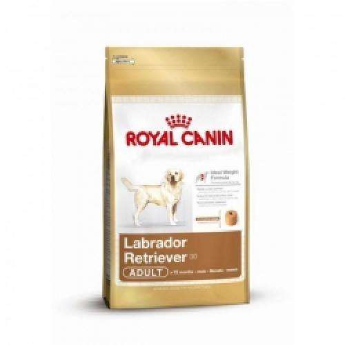 Hundetrockenfutter Labrador Retriever Adult – Royal Canin Rasse