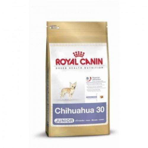 Hundetrockenfutter Chihuahua Junior – Royal Canin Rasse