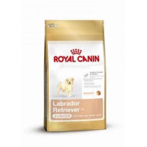 Hundetrockenfutter Labrador Retriever Junior, 12 kg – Royal Canin Rasse