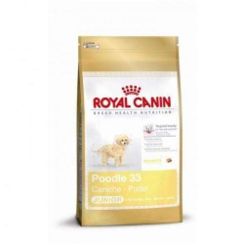 Hundetrockenfutter Pudel Junior, 3 kg – Royal Canin Rasse