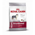 Hundetrockenfutter Medium Sterilised, 3 kg | Royal Canin Dog