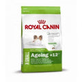 Hundetrockenfutter Size X-Small Ageing +12, 1,5 kg | Royal Canin Dog