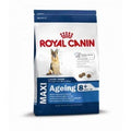 Hundetrockenfutter Size Maxi Ageing 8+, 3 kg | Royal Canin Dog